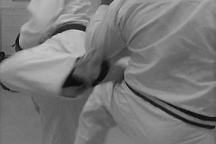 Kumite06