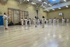 Dojo in action